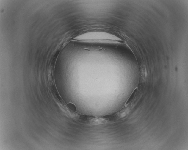 X0000068770379200605191654