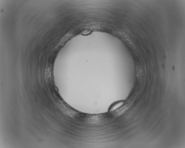 X0000068770382200605191654