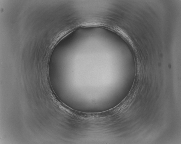 X0000068770385200605191653