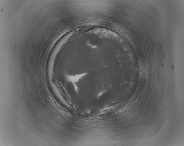 X0000068770386200605191653