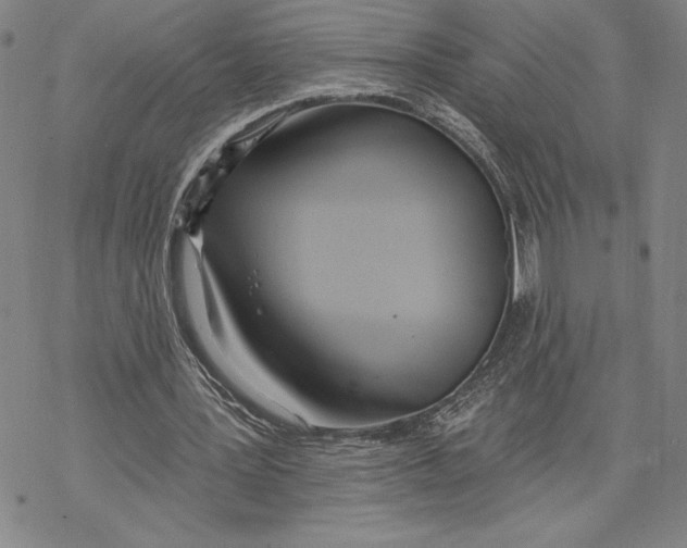 X0000068770387200605191653