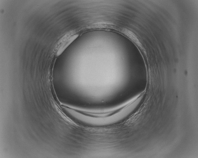 X0000068770389200605191653