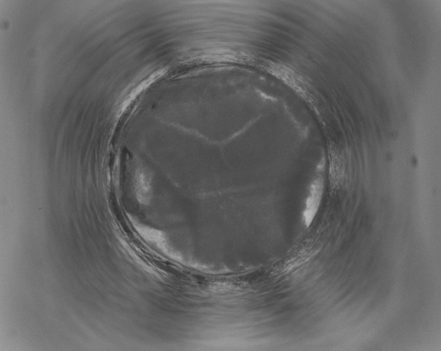 X0000068770390200605191653