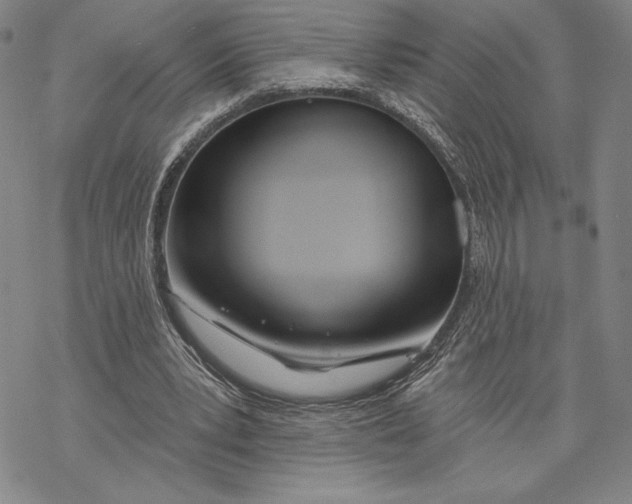 X0000068770391200605191653