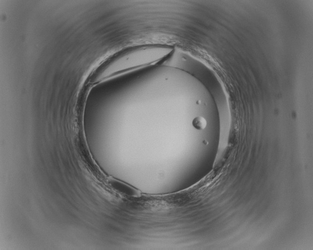 X0000068770392200605191653