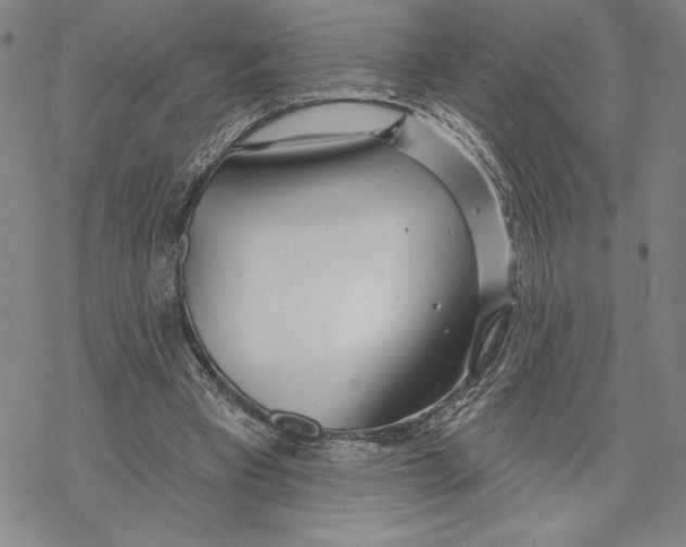 X0000068770393200605191653