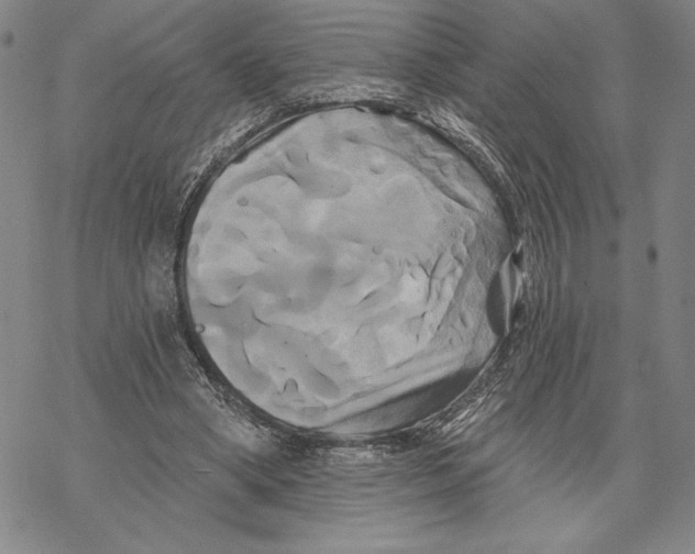 X0000068770394200605191653