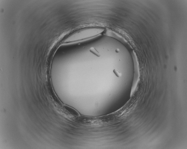 X0000068770395200605191653