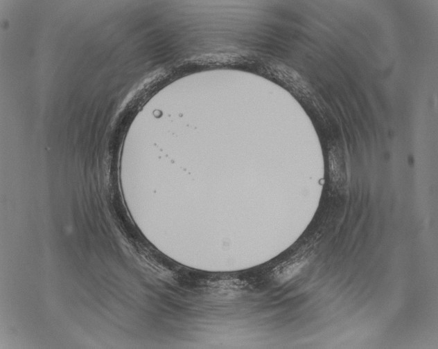 X0000068770396200605191653