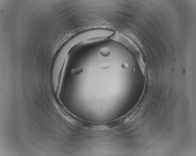 X0000068770397200605191653