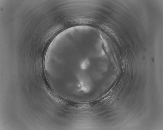 X0000068770398200605191653