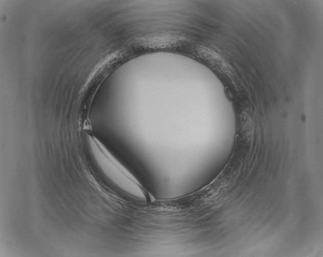 X0000068770400200605191653