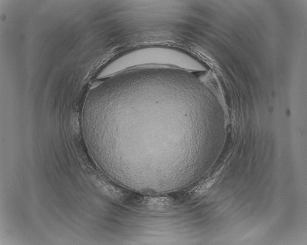 X0000068770401200605191653