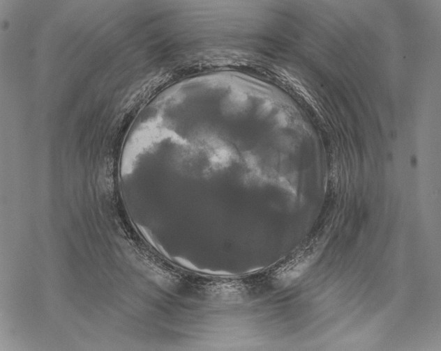 X0000068770402200605191653