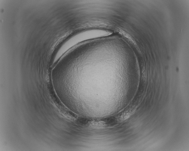 X0000068770403200605191653