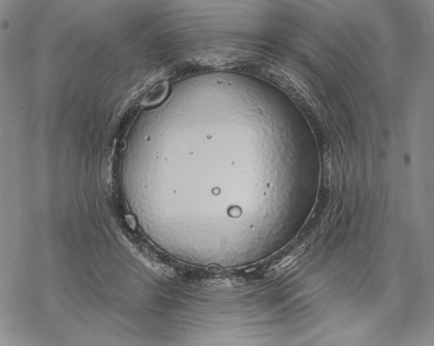 X0000068770404200605191653