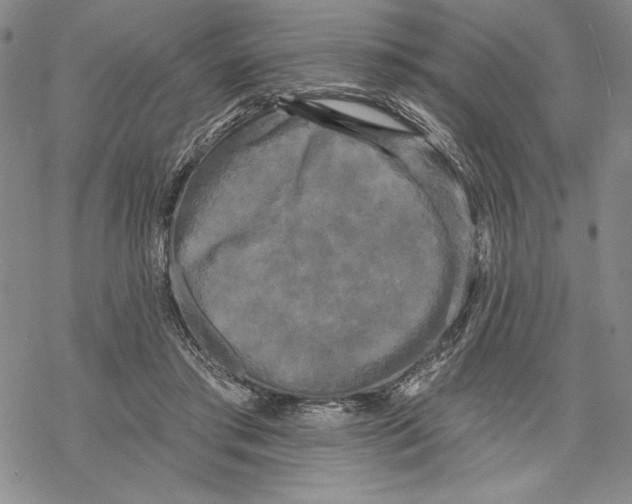 X0000068770405200605191653