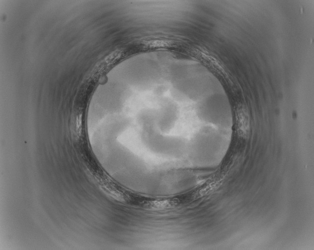 X0000068770406200605191653