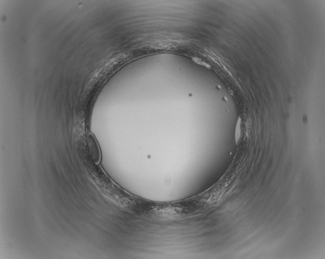 X0000068770407200605191653