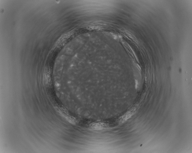 X0000068770408200605191653