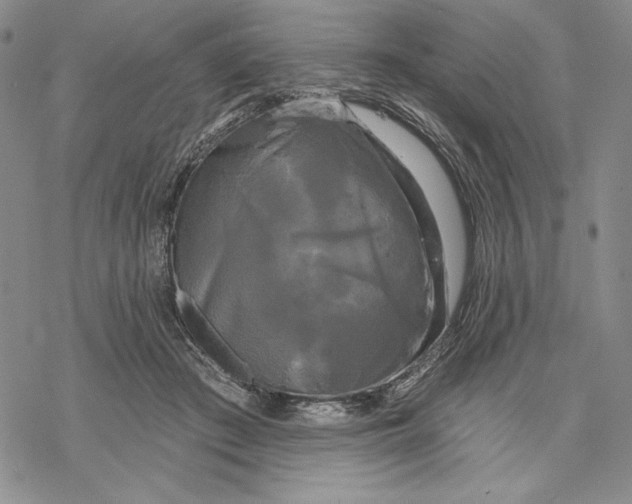 X0000068770409200605191653