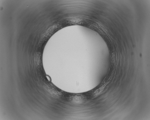 X0000068770412200605191653