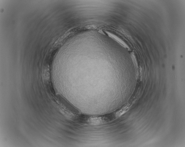 X0000068770413200605191653