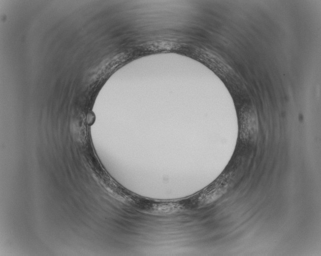 X0000068770414200605191653