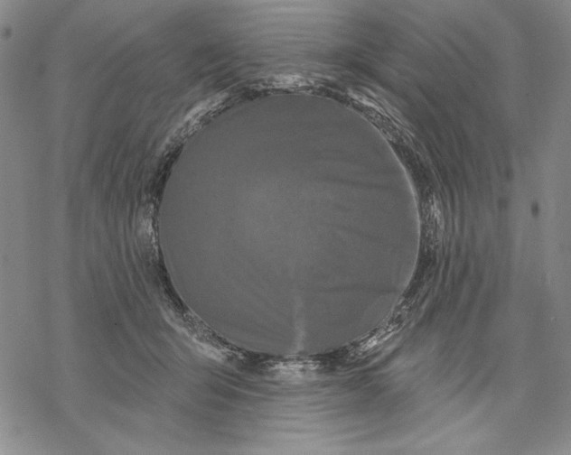 X0000068770415200605191653