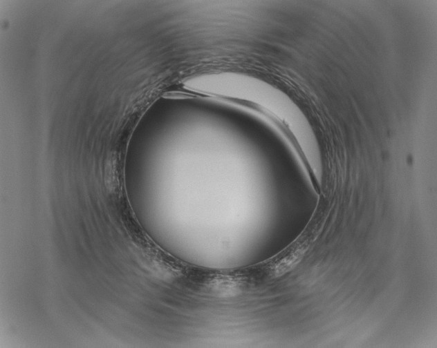 X0000068770416200605191653