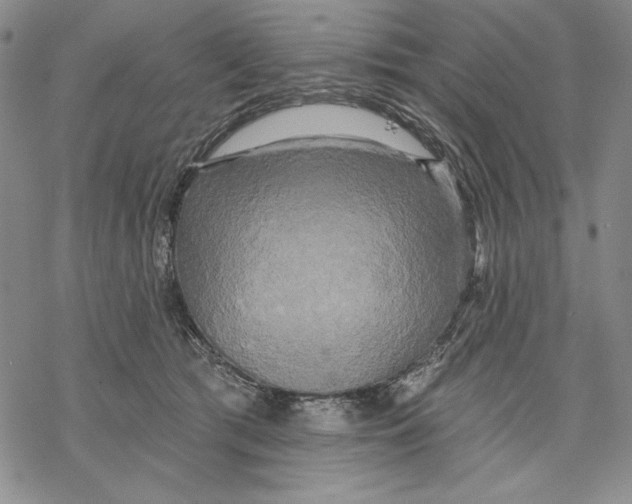 X0000068770417200605191653