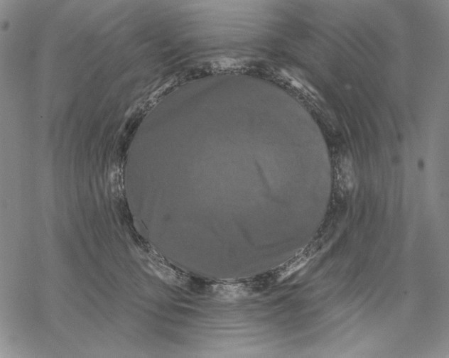 X0000068770419200605191653