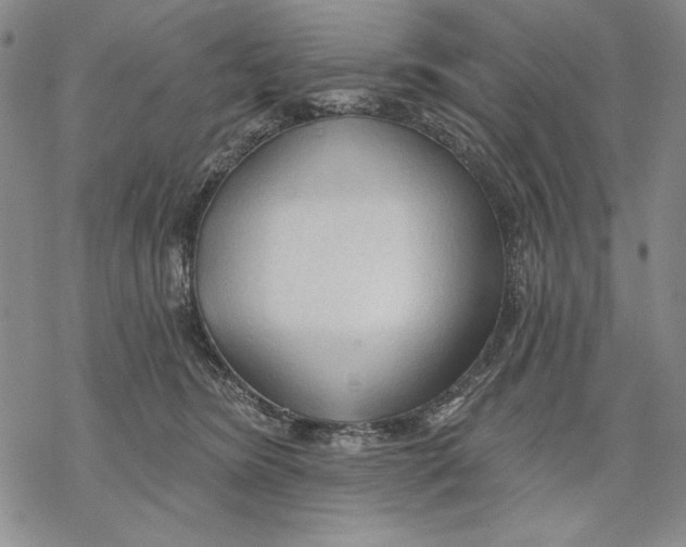 X0000068770420200605191653