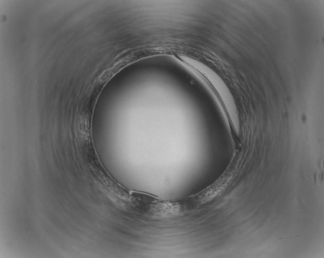 X0000068770421200605191653