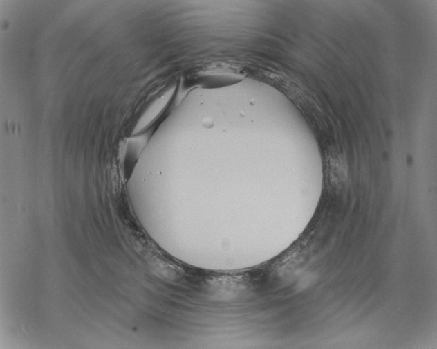 X0000068770422200605191653