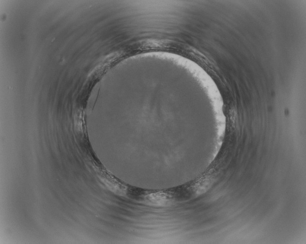 X0000068770423200605191653