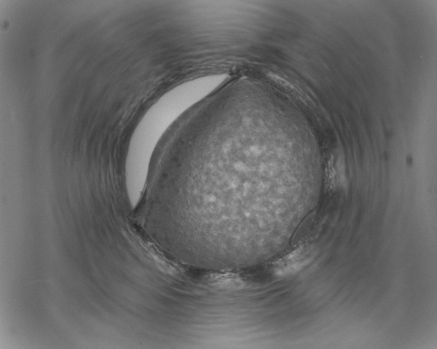 X0000068770424200605191653