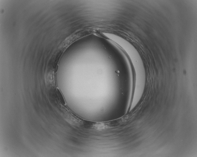 X0000068770425200605191653