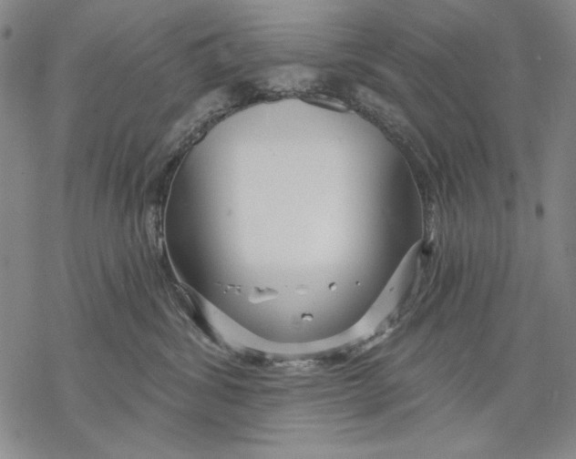 X0000068770428200605191653