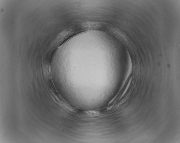 X0000068770429200605191653