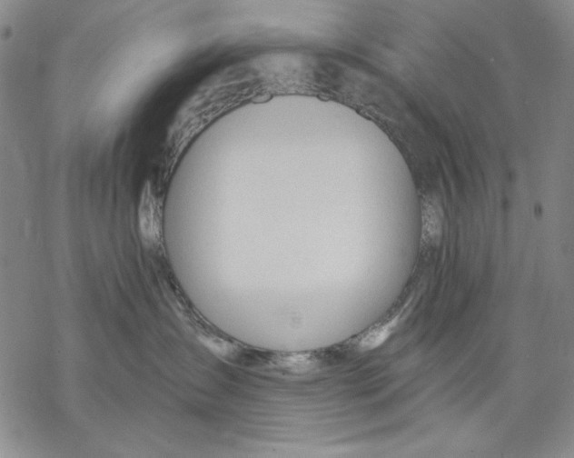 X0000068770431200605191653