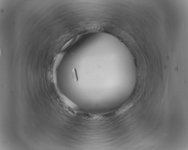 X0000068770432200605191653