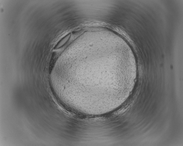 X0000068770433200605191652