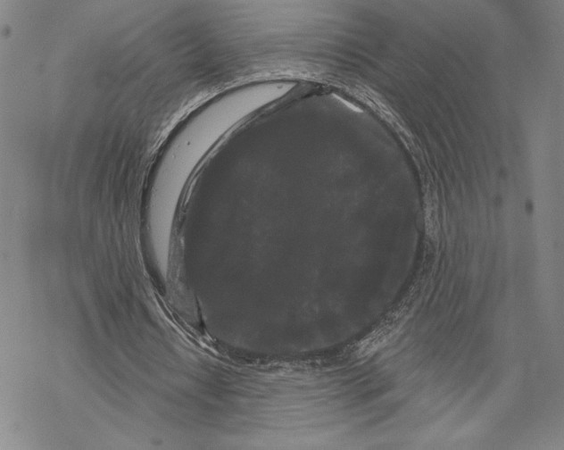 X0000068770434200605191652