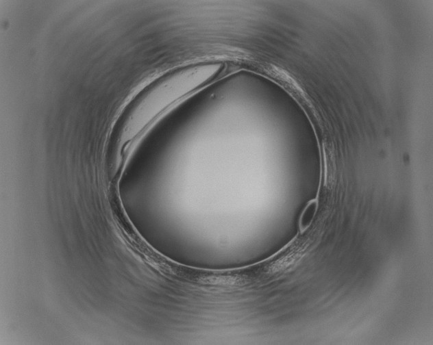 X0000068770435200605191652