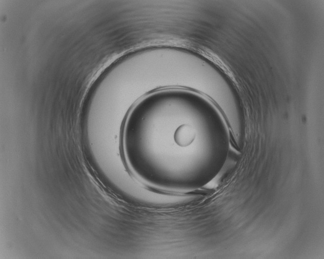 X0000068770436200605191652