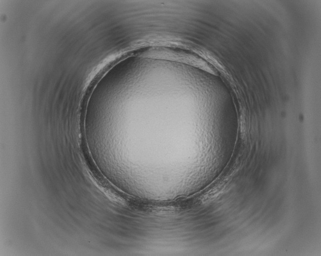 X0000068770438200605191652