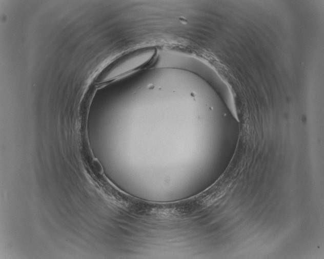 X0000068770440200605191652