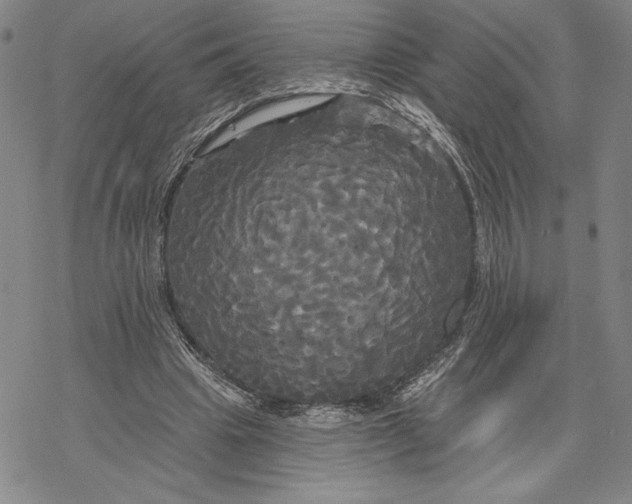 X0000068770441200605191652