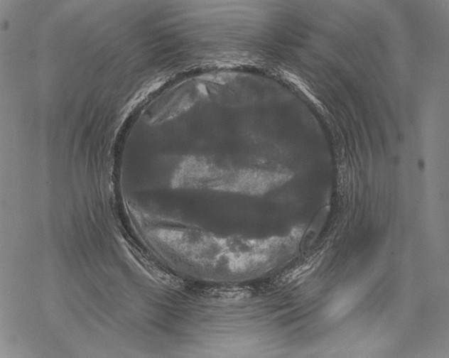 X0000068770443200605191652